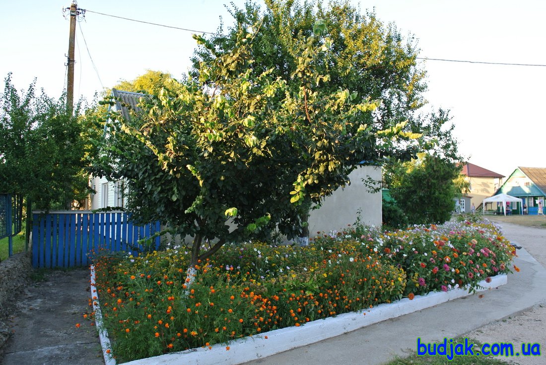 База отдыха Плай - территория. Курорт Рассейка. Фото N 7697. 2016 год